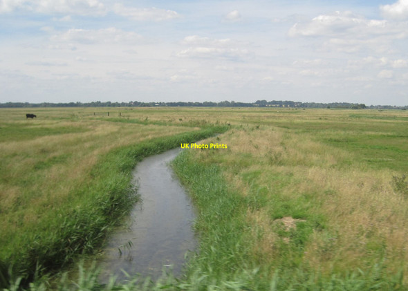 Photo 6"x4" View from a Norwich-Great Yarmouth train - drainage ditch and pasture Burgh Castle\/TG4804 c2016