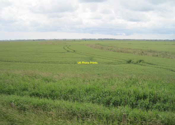 Photo 6"x4" View from a Norwich-Great Yarmouth train - marsh and drains near Falklands Farm Runham Vauxhall c2016