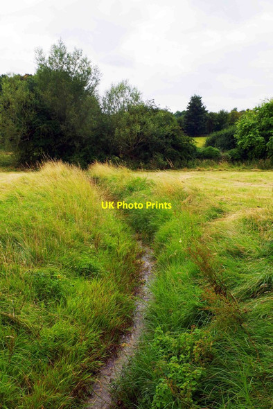 Photo 6"x4" Stream running into River Windrush, near Burford, Oxon Burford\/SP2512 c2016