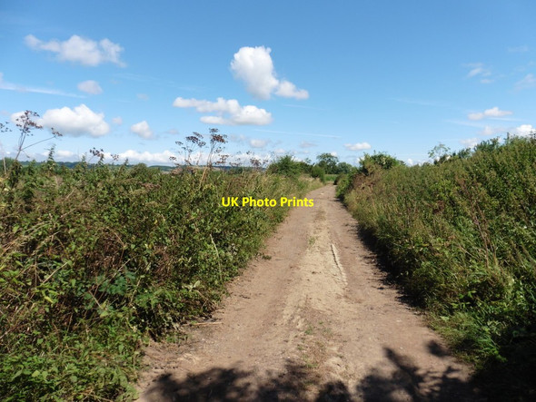 Photo 6"x4" Track on Sedgemoor Level Greylake c2016