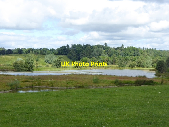 Photo 6"x4" The East Pond at Hedgeley Powburn c2016