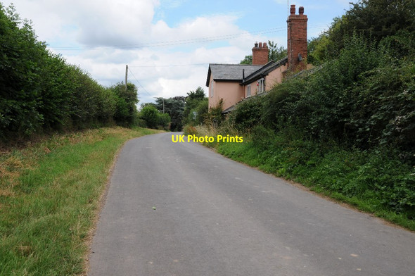 Photo 6"x4" No through road at Cholstrey Cholstrey c2016