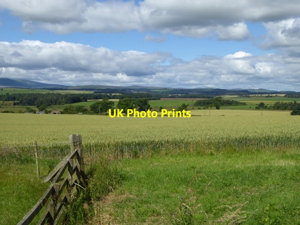 Photo 6"x4" Field of wheat at Beanley Beanley c2016