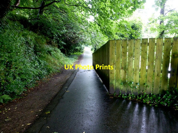 Photo 6"x4" Fenced off path, Mullaghmore Omagh c2016