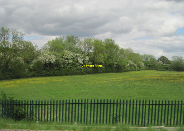 Photo 6"x4" View from a Rugby-Crewe train - blossom and summer flowers in a field Harborough Parva c2016