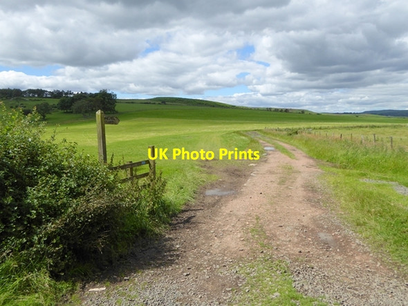 Photo 6"x4" Bridleway to Kimmer Lough Titlington c2016