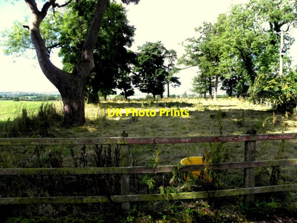 Photo 6"x4" Paddock, Lisnagirr Mountjoy\/H4277 c2016
