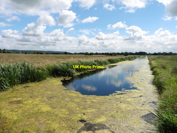 Photo 6"x4" Langacre Rhyne Moorlinch c2016