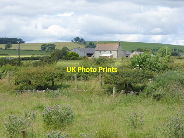 Photo 6"x4" Shipley Smallburns Farm South Charlton c2016