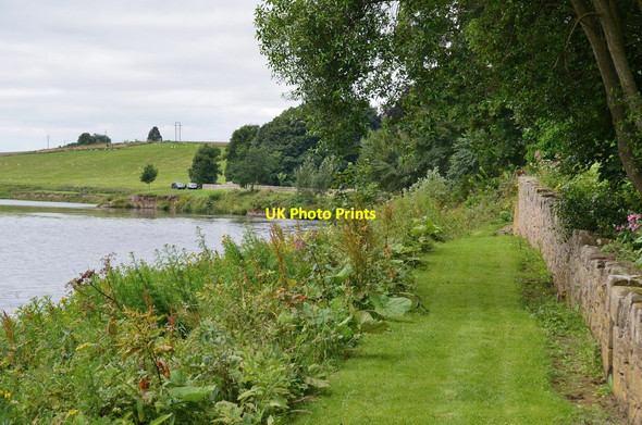 Photo 6"x4" Grass path near Ladykirk estate Ladykirk\/NT8847 c2016