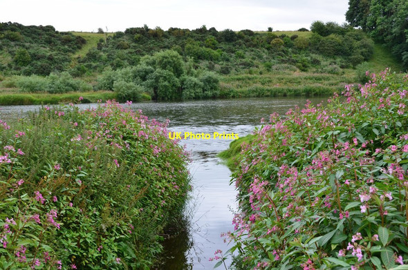 Photo 6"x4" Bannock Burn enters the Tweed Ladykirk\/NT8847 c2016