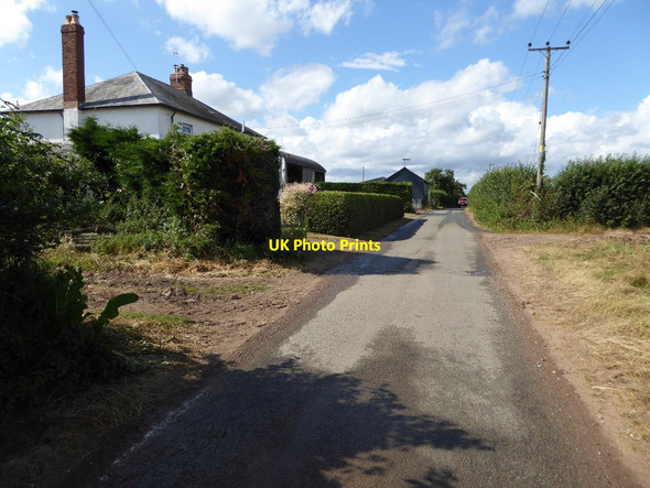 Photo 6"x4" Country road passing Oak Farm Baynhall c2016