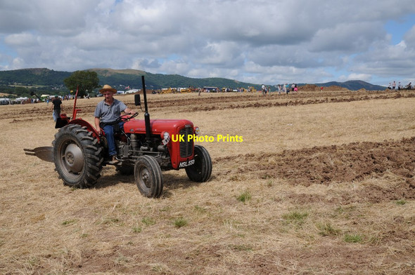 Photo 6"x4" Massey Ferguson tractor Hook Bank c2016