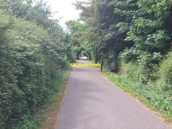 Photo 6"x4" Rodwell Trail Weymouth\/SY6779 c2016