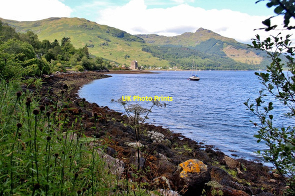 Photo 6"x4" West shore of Loch Goil at Ardnahein Carrick Castle c2016