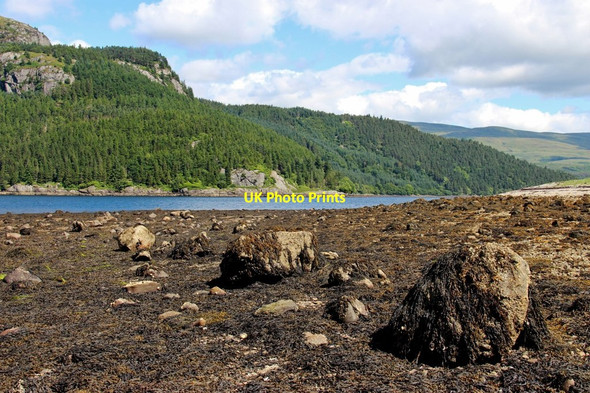 Photo 6"x4" Carraig na Maraig from Ardnahein Carrick Castle c2016