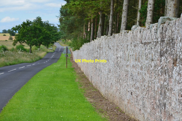 Photo 6"x4" Boundary wall, Ladykirk estate Ladykirk\/NT8847 c2016