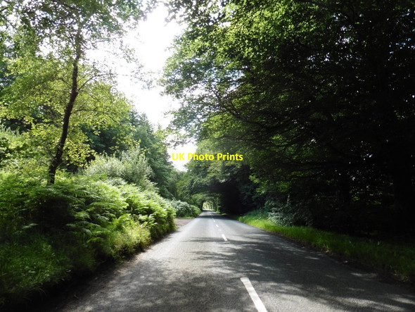 Photo 6"x4" B3190 on Haddon Hill Skilgate c2016