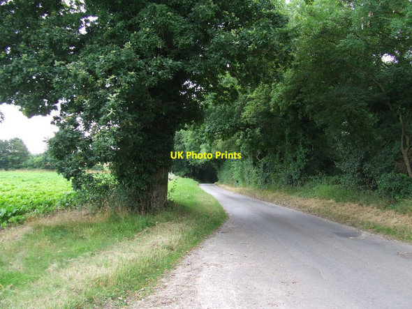 Photo 6"x4" Kings Lane Blyford c2016