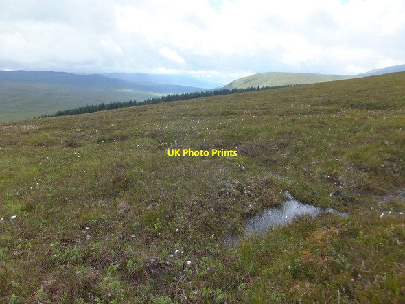 Photo 6"x4" Wet moorland above Strathbran Plantation Strathbran Plantation c2016
