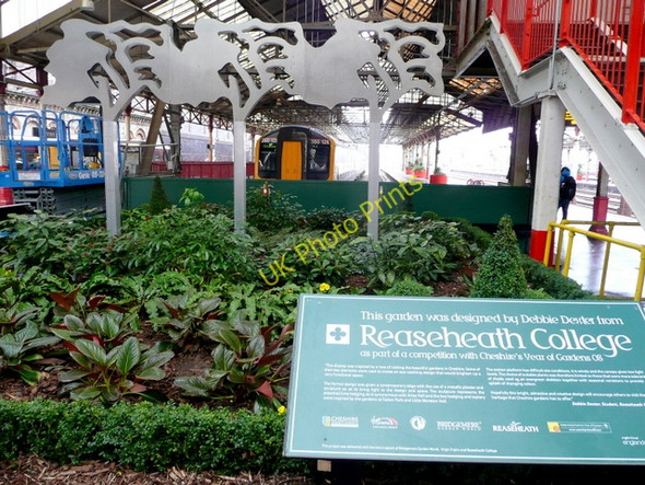 Photo 6"x4" The greening of Crewe station Crewe c2009