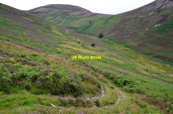Photo 6"x4" Preston Law and the Waddenshope Burn Bonnington\/NT2538 c2016