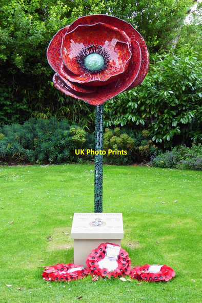 Photo 6"x4" Poppy Sculpture (1), Cripplegate Park, New Road, Worcester Worcester c2016