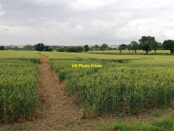 Photo 6"x4" Footpath To Saffron Walden Saffron Walden c2016