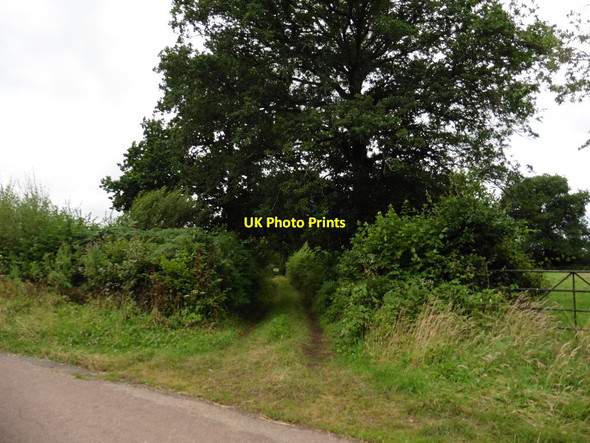 Photo 6"x4" Farm track at Thornes Park Manley\/SS9811 c2016