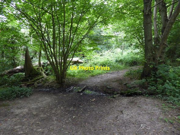 Photo 6"x4" London Countryway in Kent (206) Hanging Bank c2016