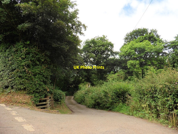 Photo 6"x4" Turning for Major Cross Bickleigh\/SS9407 c2016