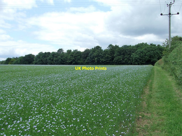 Photo 6"x4" Meadow And Footpath Rook End c2016