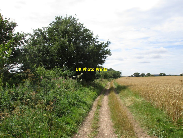 Photo 6"x4" Bridleway to Gildingwells Wallingwells c2016