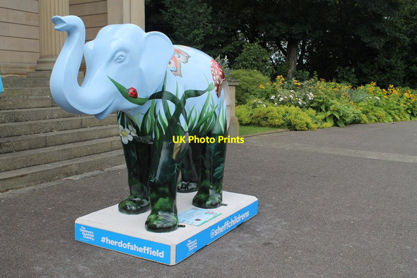 Photo 6"x4" 39 'Bugsy' - Weston Park Sheffield\/SK3587 c2016