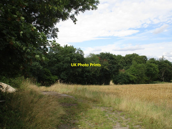 Photo 6"x4" Overgrown track Gildingwells c2016