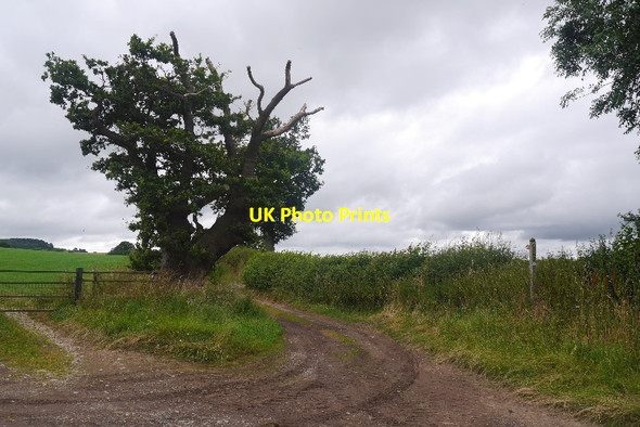 Photo 6"x4" Green lane, Wilderley Church Pulverbatch c2016