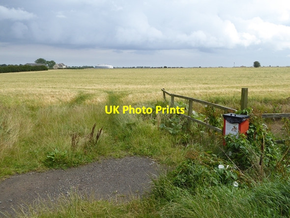 Photo 6"x4" Field of barley at Murton Steads Farm Murton\/NZ3270 c2016