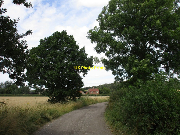 Photo 6"x4" Bridleway and Buckwood Farm Wallingwells c2016