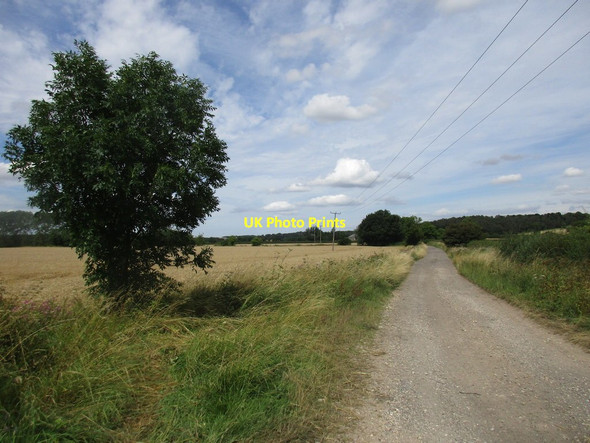 Photo 6"x4" Bridleway to Rotherham Baulk Wallingwells c2016 P1