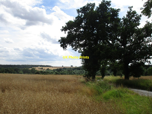 Photo 6"x4" Alongside Thornbury Hill Lane Firbeck c2016
