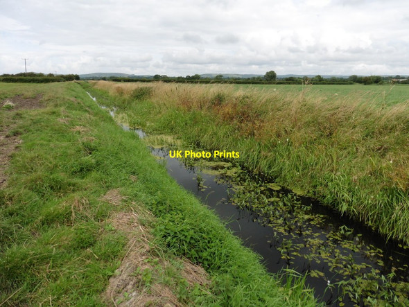 Photo 6"x4" Shipham Rhyne Ashton\/ST4149 c2016
