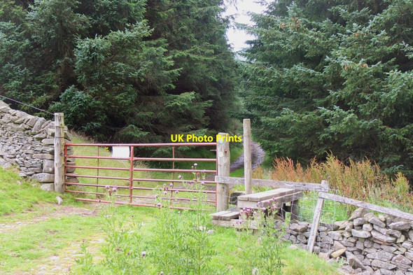 Photo 6"x4" Entrance to Caberston Forest Innerleithen c2016