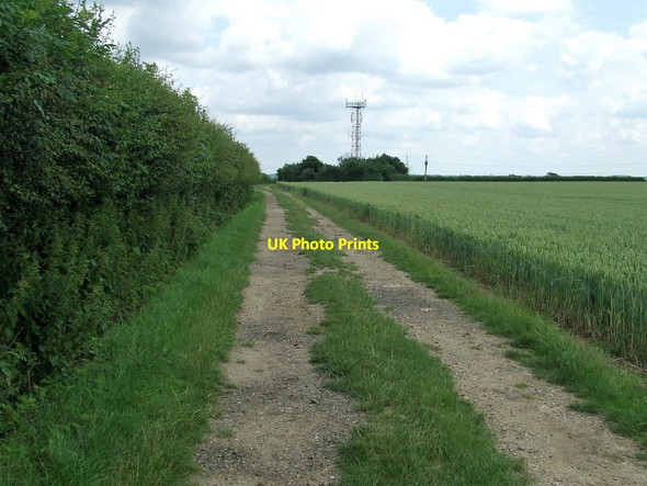 Photo 6"x4" Footpath And Track Littlebury Green c2016