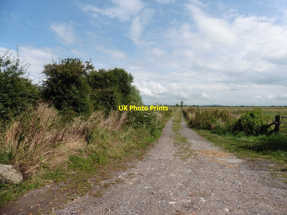 Photo 6"x4" Tealham Moor Drove Westham\/ST4046 c2016