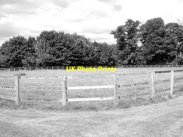 Photo 6"x4" Paddock by Hill Farm Barton Bendish c2016