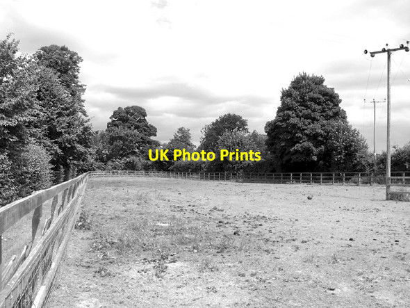 Photo 6"x4" Paddock by Hill Farm Barton Bendish c2016 P1
