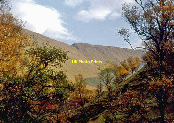 Photo 6"x4" Birches line the gorge of Alltan na Fe\u00c3\u00b2la Alltan na Fe\u00f2la c1977