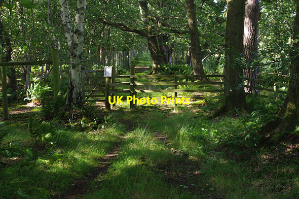 Photo 6"x4" Permissive footpath, White Moss Yealand Storrs c2016