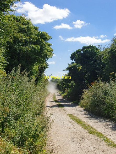 Photo 6"x4" Farm track west of Uffington Castle - at harvest time Woolstone\/SU2987 c2016