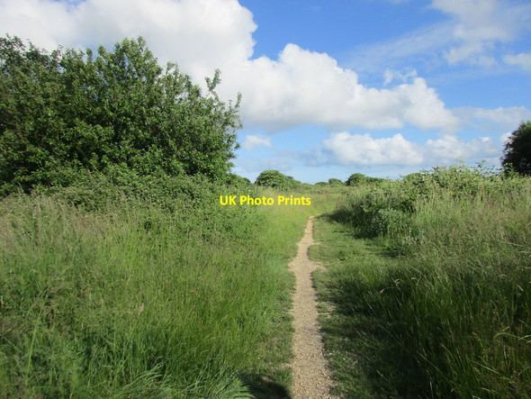 Photo 6"x4" Milton Common Portsmouth\/SU6501 c2016 P1